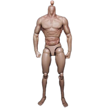 1/6 Scale Narrow Shoulder Male Body Doll Action Figure for TTM18 TTM19