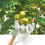 Metal Fruit Picker Orchard Gardening Peach High Tree Picking Tools Fru 5
