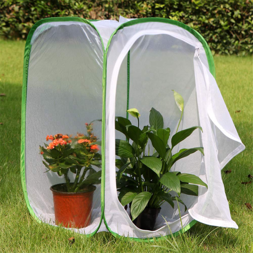 Terariu cușcă tip „pop-up” pentru insecte și fluturi, pachet de 2 buc. 2