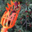 2PCS Basket Fruit Picker Head Plastic Fruit Picking Tool Catcher Agric 5