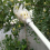 2PCS Basket Fruit Picker Head Plastic Fruit Picking Tool Catcher Agric 7