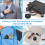 Fingerprint Ink Pad No-Wash Quick-Drying Portable - Blue 6