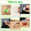 Seed Storage Box, Sturdy Seed Storage Box for Flower and Vegetable Pla 6