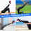 Dumbbell Foot Attachment Ankle Straps for Leg Exercise and Training 4