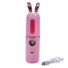 Ny Mini USB oppladbar Nano ansiktsfuktighetssprayer for kvinner Skjønnhet i