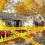 Halloween Decorations Caution Tape,Do Not Enter Scary Caution Tape Rol 7