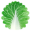 Soft Cabbage Blanket Funny Novelty Blanket 85x85cm 2