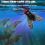 Bionic fluefiskeagn (20 stk.) - 2024 Nye ørretjigger Swimbaits Dry Fl 5