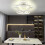 63cm LED Ceiling Fan with Light,Dimmable with Remote Control & APP 10