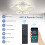63cm LED Ceiling Fan with Light,Dimmable with Remote Control & APP 7