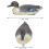 Plastic Simulation Duck Lifelike Duck Decoration 7