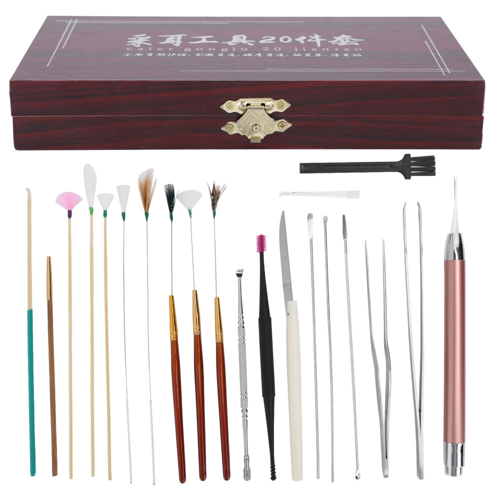 20pcs Stainless Steel Earwax Remover Kit Ear Wax