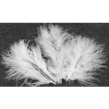 20 White Decorative Feathers 5.5 cm