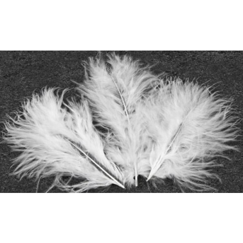 Rubies 20 White Decorative Feathers 5.5 cm