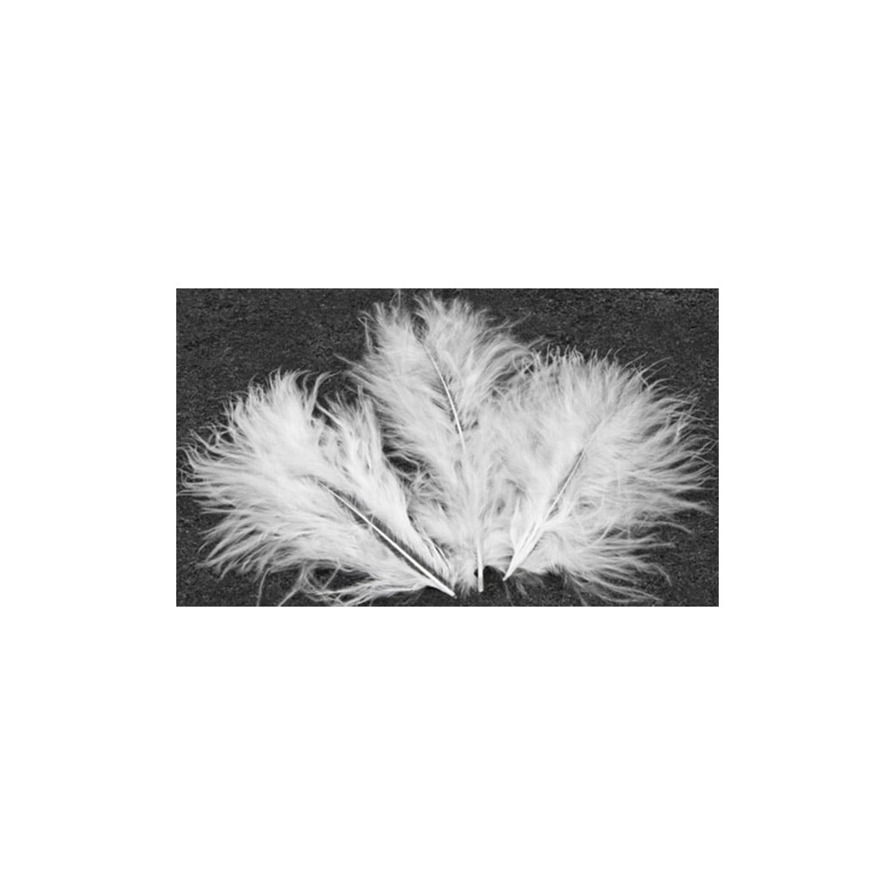 Rubies 20 Decorative Feathers 5.5 Cm White