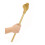 Rubies Egyptian gold scepter 2