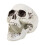 Rubies Skull decoration 24 x 18 cm Halloween 1