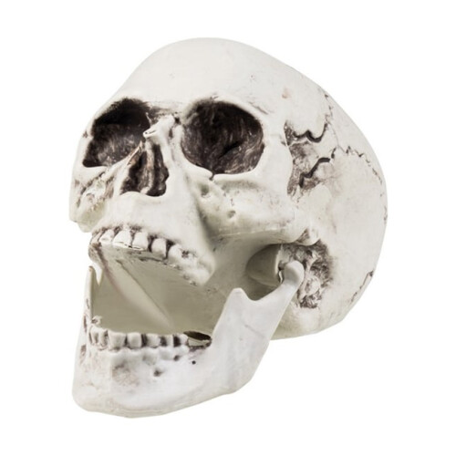 Rubies Skull decoration 24 x 18 cm Halloween