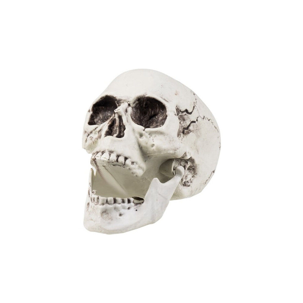 New Rubies Skull Decoration 24 X 18 Cm Halloween