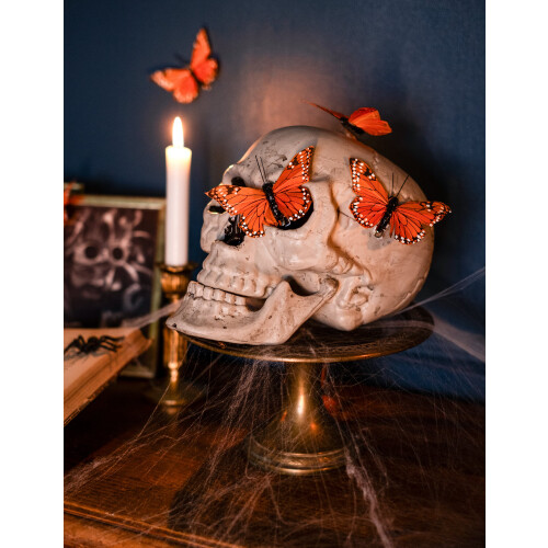 Rubies Skull decoration 24 x 18 cm Halloween 2
