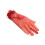 Rubies Bloody severed hand Halloween 1