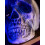 Rubies Skull decoration with spider web 2