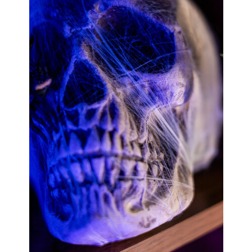 Rubies Skull decoration with spider web 1