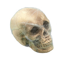 Skull decoration with spider web