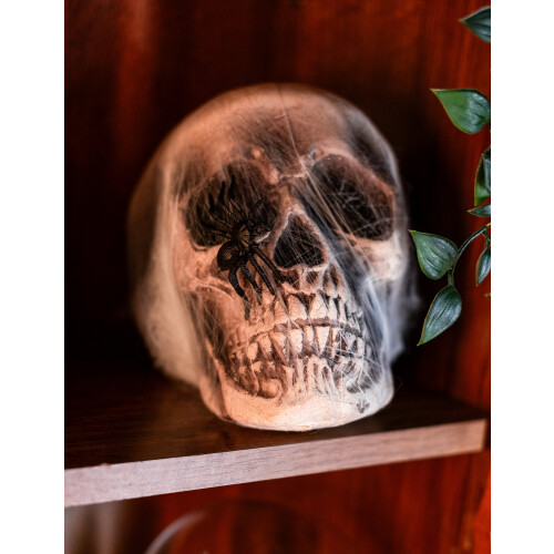 Rubies Skull decoration with spider web 2