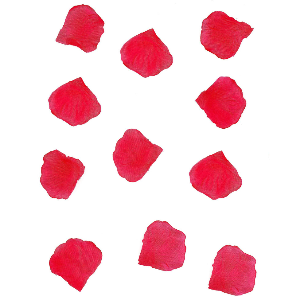 Rubies 288 Petals Red