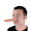 Rubies Long nose little liar 2