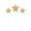 Rubies 3 Candles on a champagne glitter star pick 11 cm 1