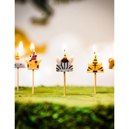 Rubies 5 Wild Animal Candles 2.5 x 2.5 cm 1