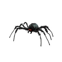 Reusachtige spin 43 x 46 cm