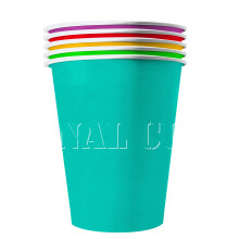 20 American Summer recyclable cardboard cups 53 cl