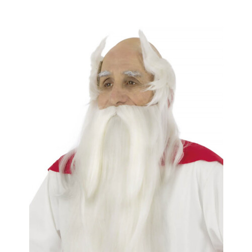 Rubies Getafix Druid Wig and Beard - Asterix and Obelix