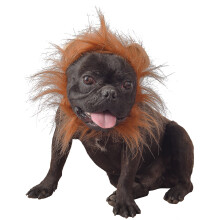 Lion costume for dogs