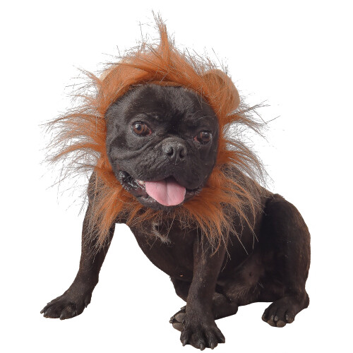 Rubies Lion costume for dogs
