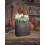 Rubies Sorcerer's Apprentice Paper Gift Bags 20cm 3