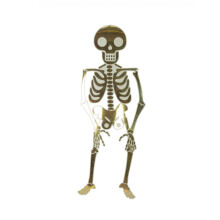 White and gold paper articulated skeleton 1.35m