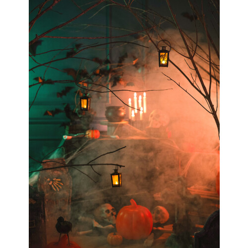 Rubies Luminous lantern 15 x 8 cm 2