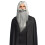Rubies Adult Gray Wizard Wizard Wig and Beard 1