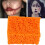 FX Blood Scar Stubble Effect Wound Makeup Stipple 5