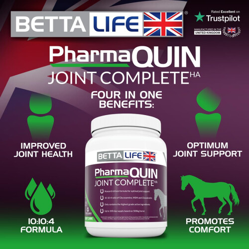 BETTALIFE PharmaQuin Joint Complete HA 1