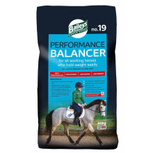 Baileys No19 Performance Horse Balancer 20kg