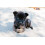Other Vetspec Puppy & Junior Formula 12kg, clear 3