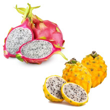 London Grocery Dragon Fruit Exotic & Tropical Fruits Hamper | 6 Fruits