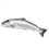 Whole Salmon ~2.5kg -/+10% 1