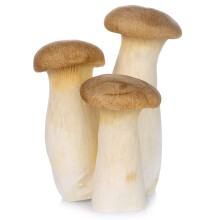 King Oyster Mushroom 500gr x 4 Pack