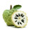 Custard Apple x 10 pack 1